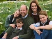 Рождественские открытки королевских семей - от величественных образов до щенков