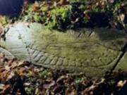 В Норвегии обнаружили 3000-летние наскальную резьбу бронзового века