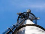 «Киевстар» и Vodafone могут объединить башенную инфраструктуру, lifecell против