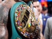 WBC раскрыл причины присвоения титульного статуса поединку Усик - Верховен