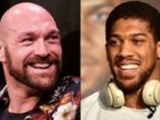 Фьюри и Джошуа согласовали проведение поединка