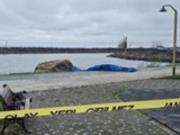 На побережье Турции обнаружили двухметровый дрон