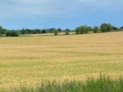 Государству вернули более 500 га особо ценных земель НААН