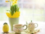 Какая будет погода на Пасху - везде дождь и до +11 градусов тепла