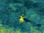 Россияне попытались штурмовать Сумщину через трубу