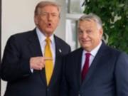 Трамп откинул волнение из-за поражения Орбана и дал оценку Мадяру