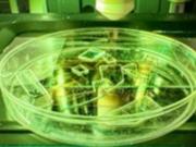 Учёные создали пластик, который уничтожает вирусы при контакте