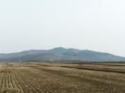 В КНДР оценивают последствия беспрецедентной засухи