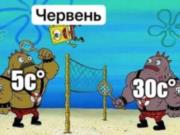 Анекдоты и мемы недели: маки, поляки и Крым без бензина