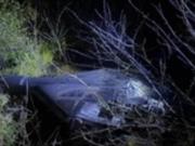 В Молдове упал и взорвался российский беспилотник