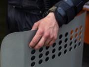 По делам Майдана объявили новые приговоры