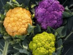 Украина впервые отправила цветную капусту в Европу