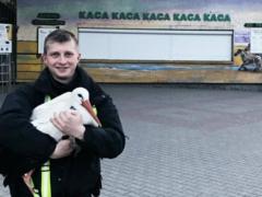 Полиция  задержала  в центре Киева аиста