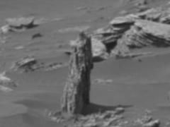 На Марсе могли расти деревья