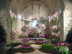 В Испании проведут необычный фестиваль цветов