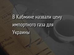 В Кабмине назвали цену импортного газа для Украины
