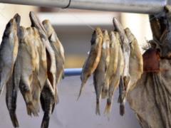На Харьковщине снова изъяли из продажи некачественную рыбу