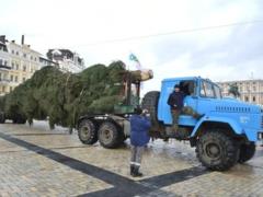 Главная елка Украины не приехала в Киев из-за снегопада