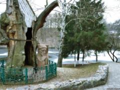 На Харьковщине 700-летний дуб Сковороды спрячут под стеклом