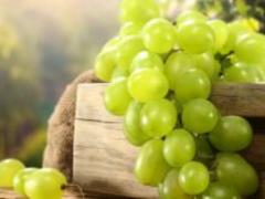 Виноград: польза и вред для здоровья