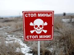 Опасная территория. Стали известны масштабы минной проблемы в Украине