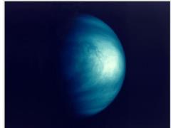 В атмосфере Венеры могут обитать микроорганизмы