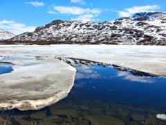Ученые обнаружили на ледяном щите Гренландии  темную  зону