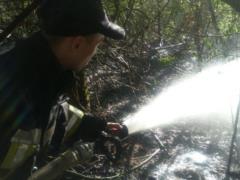 Подробности пожара на Трухановом острове в Киеве