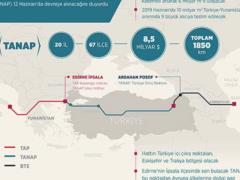 Турция и Азербайджан запустят газопровод в обход РФ 12 июня