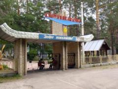 В лагере  Ястребок  в Донбассе дети отравились борщом и овсянкой