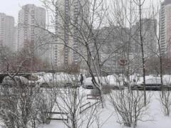 Как в Украине изменится погода: зима будет короткой, а весна - затяжной и холодной