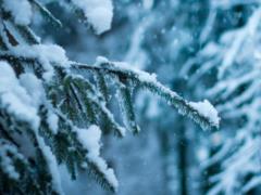 Синоптики рассказали, каким будет первый месяц зимы