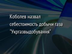 Коболев назвал себестоимость добычи газа  Укргазвыдобування 
