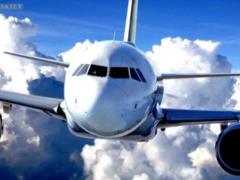 Авиационные правила перевозки пассажиров и багажа