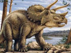 В США студент во время раскопок обнаружил череп трицератопса возрастом 65 млн лет