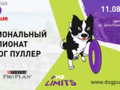 Второй Национальный Чемпионат Дог Пуллер состоится в Одессе