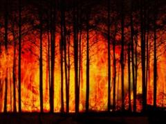 В Анголе и Конго гораздо больше пожаров, чем в Бразилии