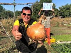 На Киевщине огородник-любитель вырастил 2-килограммовую луковицу