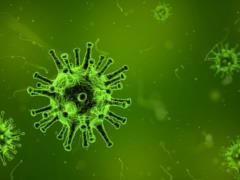 Ученые предупредили о смертельной опасности пандемии