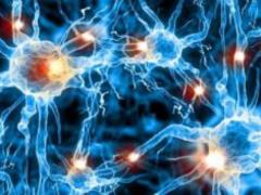 Как быстро восстановить свои нервные клетки