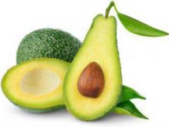 Обнаружено новое полезное свойство авокадо для организма