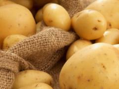 Украина начала импортировать картофель с РФ