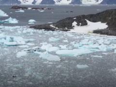 Каждый литр воды в Антарктике кишит пластиком
