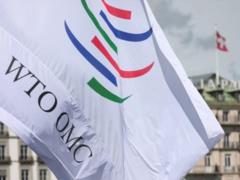 Украина выиграла у России апелляцию в ВТО по поставкам вагонов