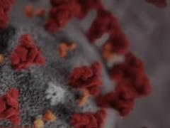 В Швейцарии зафиксирован первый случай коронавируса