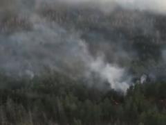 Ради забавы: найден поджигатель леса в Чернобыльской зоне