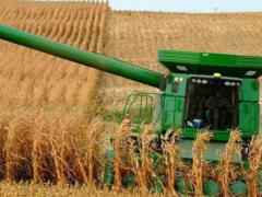 В Украине начата уборка кукурузы