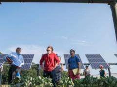 В Финляндии производство  солнечной  энергии выросло в 10 раз за 4 года