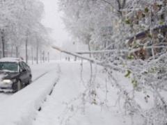 Снегопады в Мадриде нанесли ущерб на 1,4 млрд евро
