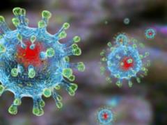 В Харькове за сутки выявлено 25 новых случаев коронавируса
